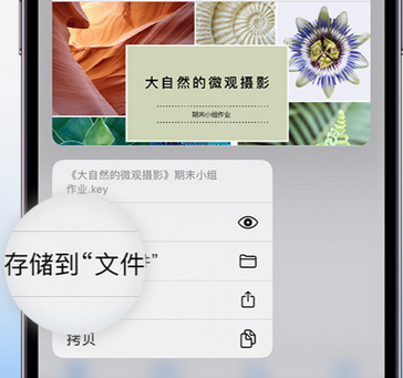 龙子湖apple维修中心分享iPhone文件应用中存储和找到下载文件