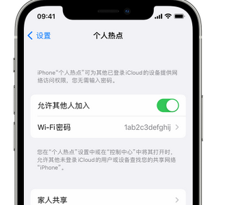 龙子湖apple服务站点分享iPhone上个人热点丢失了怎么办 