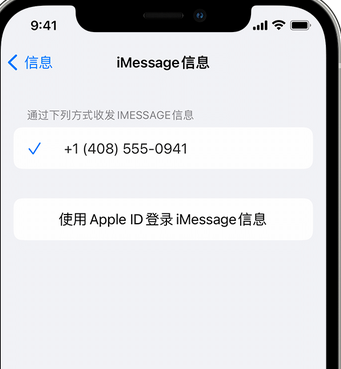 龙子湖apple维修iPhone上无法正常发送iMessage信息 