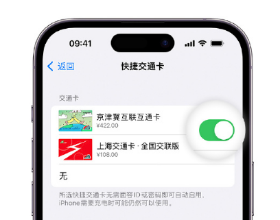 龙子湖apple维修点分享iPhone上更换Apple Pay快捷交通卡手绘卡面 