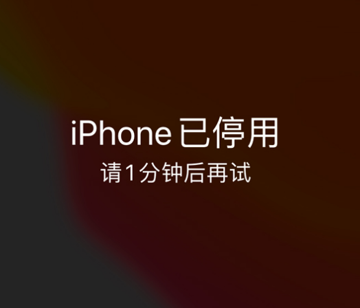 龙子湖苹果手机维修分享:iPhone 显示“不可用”或“已停用”怎么办？还能保留数据吗？ 