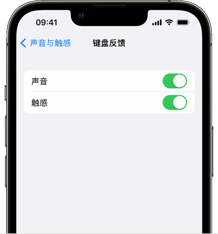 龙子湖苹果14维修店分享如何在 iPhone 14 机型中使用触感键盘 