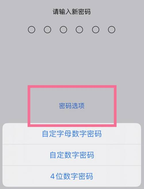 龙子湖苹果14维修分享iPhone 14plus设置密码的方法 