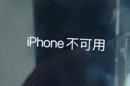 龙子湖苹果服务网点分享锁屏界面显示“iPhone 不可用”如何解决 