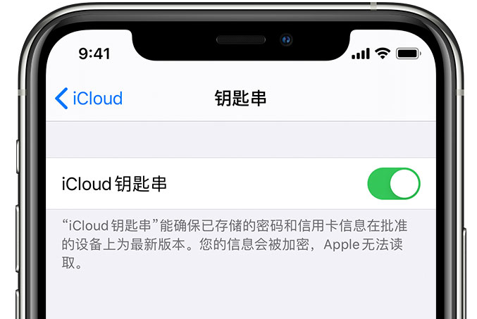 龙子湖苹果手机维修分享在 iPhone 上开启 iCloud 钥匙串之后会储存哪些信息 