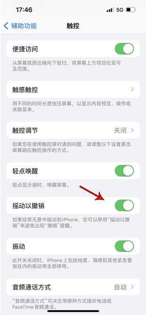 龙子湖苹果手机维修分享iPhone手机如何设置摇一摇删除文字 