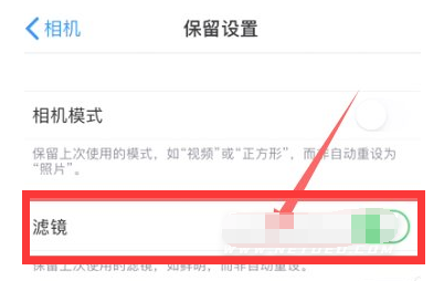 龙子湖苹果13维修分享iPhone13拍照有绿点是怎么回事 