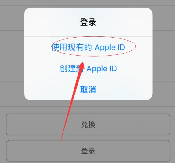 龙子湖苹果手机维修分享两台iPhone设备可以同时登录一个Apple ID吗 