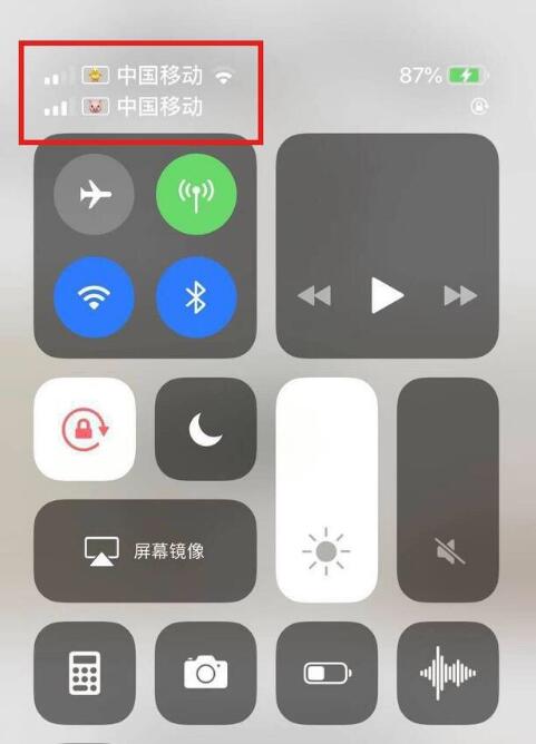 龙子湖苹果手机维修分享为 iPhone 12 双卡设置标签 