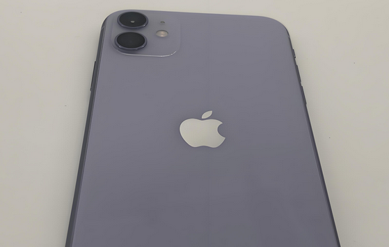 龙子湖苹果11系统维修分享iPhone11手机系统崩溃无法开机如何解决 